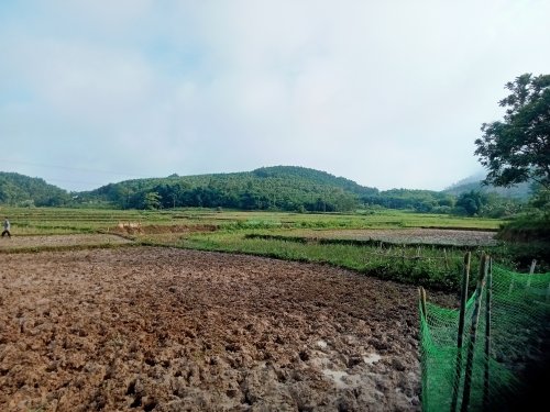 IMG20230615071210.jpg